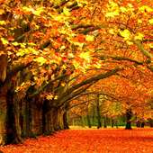 Autumn Jigsaw Puzzles