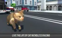 Kitty Cat Rush gra 3D Screen Shot 3