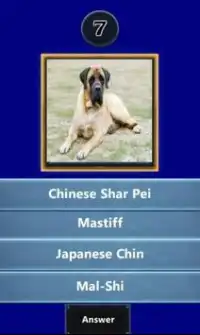 ﻿Quizup the Dog breed Screen Shot 1