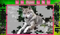 Die Puzzles zu sammeln Screen Shot 4