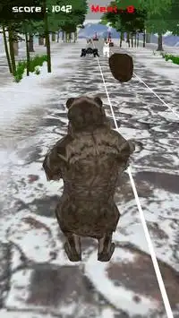 Jungle Bear Run 3D Screen Shot 3