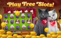 Cute Kittens Free Vegas Casino Screen Shot 0