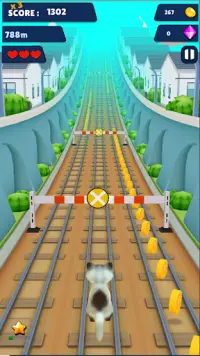 Cat Run 3D Screen Shot 2