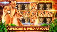 Great Cat Spielautomaten Vegas Screen Shot 1