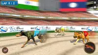 রিয়েল কুকুর রেসিং প্রতিযোগিতার Screen Shot 13
