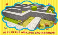 Amazing Pets Maze Simulator Screen Shot 4