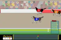 Dog Racing Screen Shot 3