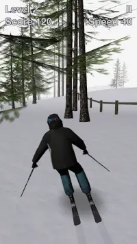 Alpine Ski III Screen Shot 0