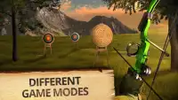 Стрельба из лука - спорт 3D Screen Shot 1