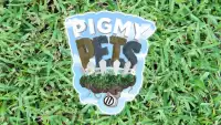 Pigmy Pets Screen Shot 10
