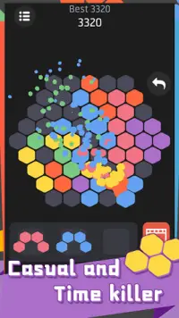 Hex Puzzle - Super fun Screen Shot 9