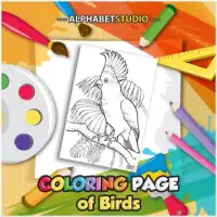 Coloring Page Of Birds Screen Shot 1