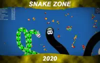 Worm Snake zone : Worm Mate snake Screen Shot 0