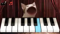 Pop Cat Piano Screen Shot 2