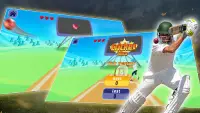 Cricket Hero Screen Shot 3