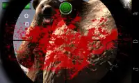 Grizlly Bear Screen Shot 18