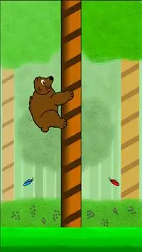 Bear Master Screen Shot 1