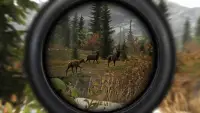 Wild Animal Hunter - Unlimited Screen Shot 0
