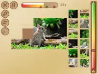LITE Games Puzzle Collection Screen Shot 9