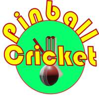 Cricket Twenty20 : Pinball Challenge