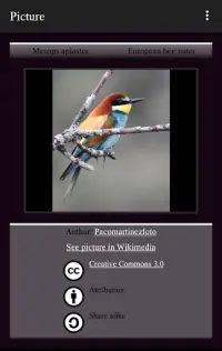 104 Birds Quiz Screen Shot 1