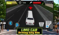 Limo Car Driving City Sim Screen Shot 11