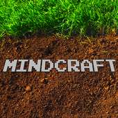 Mind Craft Pocket Edition 3D