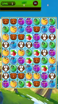 Matching Birds Mania: Jewel Sort Puzzle Screen Shot 5