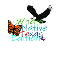 Whats native Texas edition