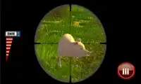 Wild Pig Target Shooter 3D Screen Shot 0