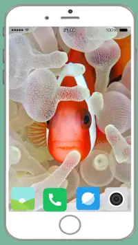 Fish Full HD Wallpaper Screen Shot 9