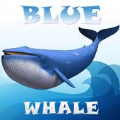 الأزرق الحوت محاكاة لعبة العقل