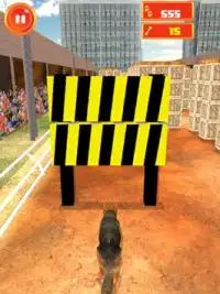 クレイジー犬サーファー - エンドレスラン Screen Shot 9