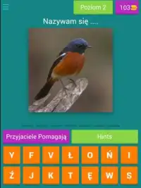 Quiz ptaków Screen Shot 7