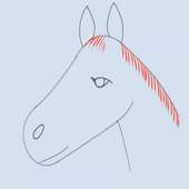 How to Draw a Horse Head