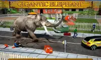 Angry Elephant Attack 3D Screen Shot 0