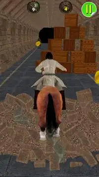 Dungeon Assassin Horse Run 3D Screen Shot 3