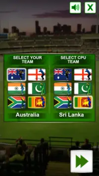 Cricket Fielder Challenge Screen Shot 1