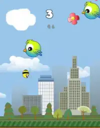 Wee Bee vs. The Cute Birds Screen Shot 0