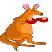 kangaroo jumper