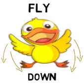 FLY DOWN