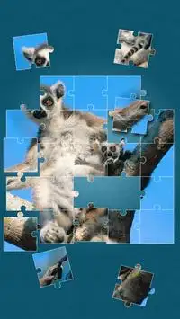 Animals Jigsaw Puzzle Screen Shot 12