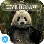 Live Jigsaws - Into the Wild