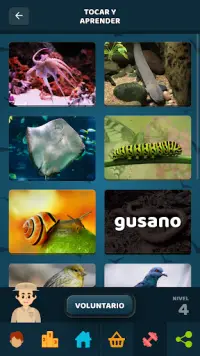 Animales Quiz Multijugador: Aprende en 29 idiomas Screen Shot 7