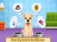cuidado lindo cachorro labrador: amigo mascota Screen Shot 1