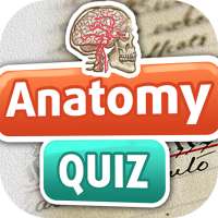 Quiz Anatomie Humaine Amusant