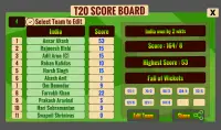 Cricket Twenty20 : Pinball Challenge Screen Shot 6