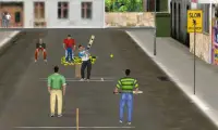 Street Cricket Screen Shot 3