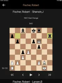 Lite lichess - Online Chess Screen Shot 13
