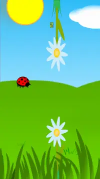 Kumbang betina terbang Screen Shot 4